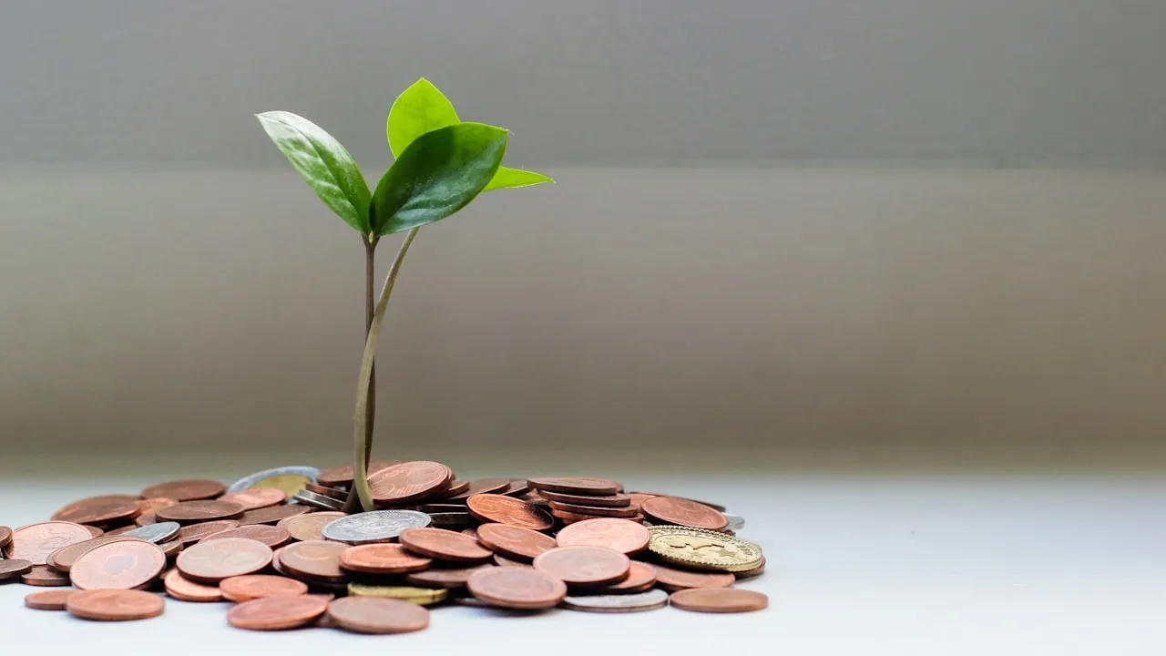 Как считать ROI от SEO: формулы, примеры и практика
